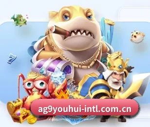 全面认识ag九游会app的服务与理念 - 体育资讯内容服务
